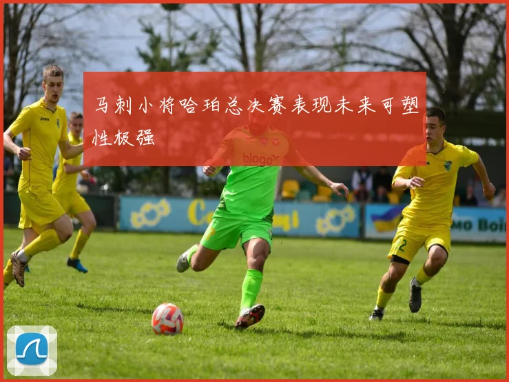 马刺小将哈珀总决赛表现未来可塑性极强