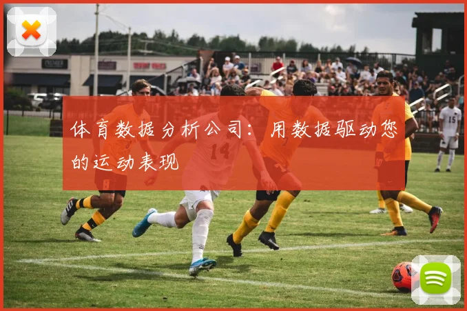 体育数据分析公司：用数据驱动您的运动表现